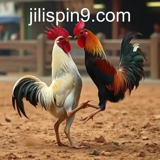 Gaming Experience JILISPIN - 800+ Premium and Exclusive Games